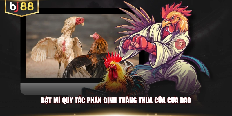 Bật mí quy tắc phân định thắng thua của cựa dao