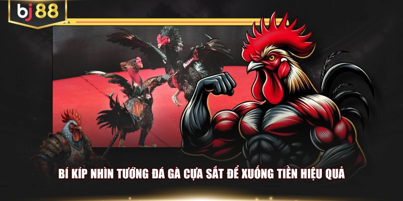 Bí kíp nhìn tướng đá gà cựa sắt để xuống tiền hiệu quả
