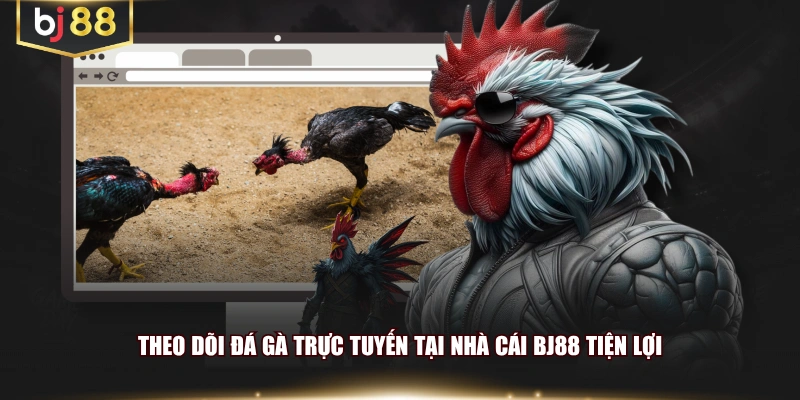 Theo dõi đá gà trực tuyến tại nhà cái BJ88 tiện lợi