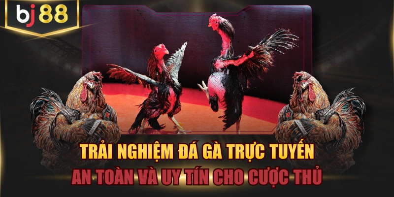 Trải Nghiệm Đá Gà Trực Tuyến An Toàn Và Uy Tín Cho Cược Thủ